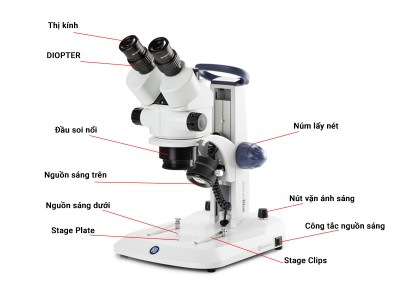 Tìm hiểu về kính hiển vi soi nổi và loại kính hiển vi được ưa chuộng nhất hiện nay